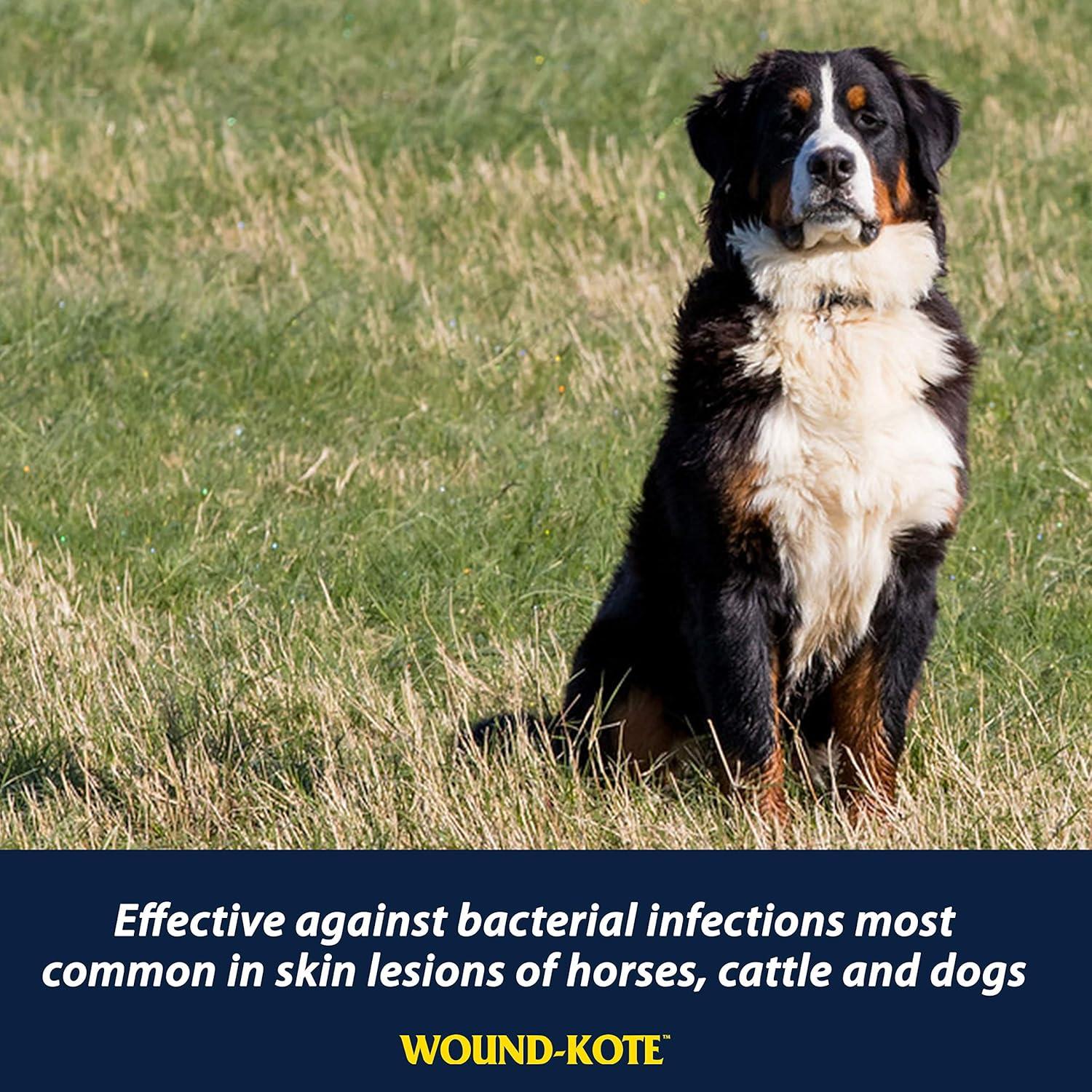 Farnam Wound-Kote Spray Antisético 142 g para Caballos y Perros