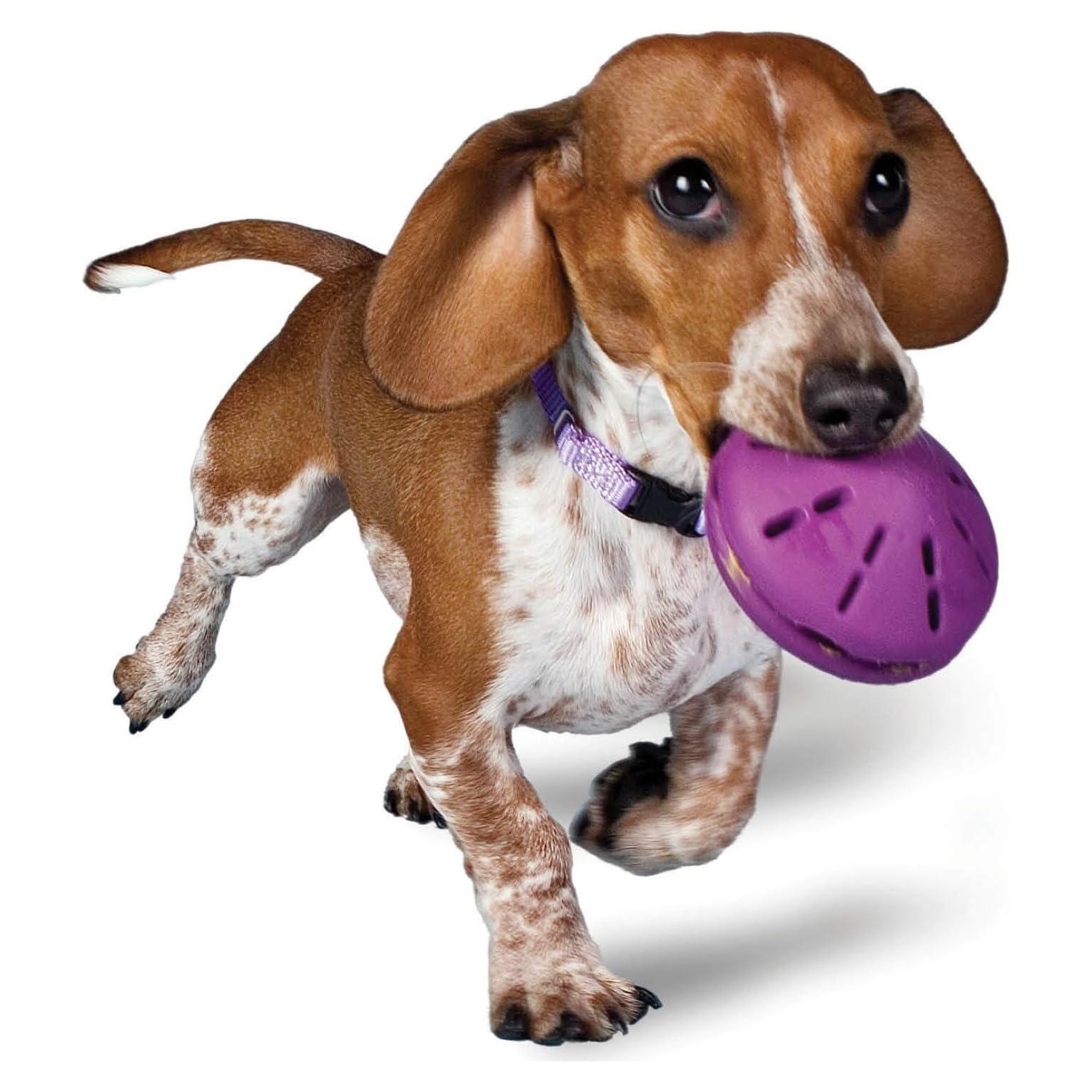 PetSafe Busy Buddy Twist 'n Treat Dispensing Dog Toy - Small