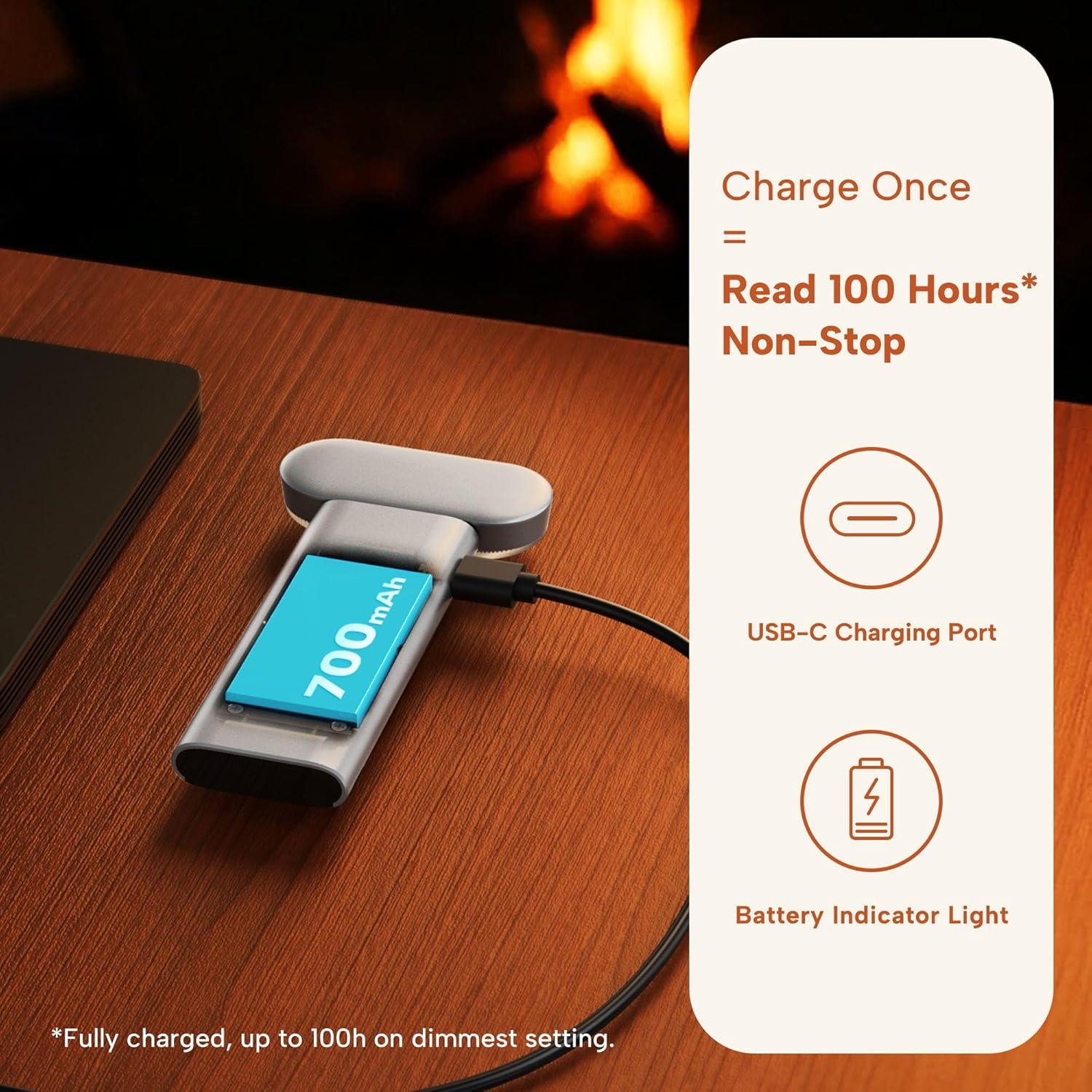 Luz de Lectura LED 86lux Recargable USB Plata Blanca