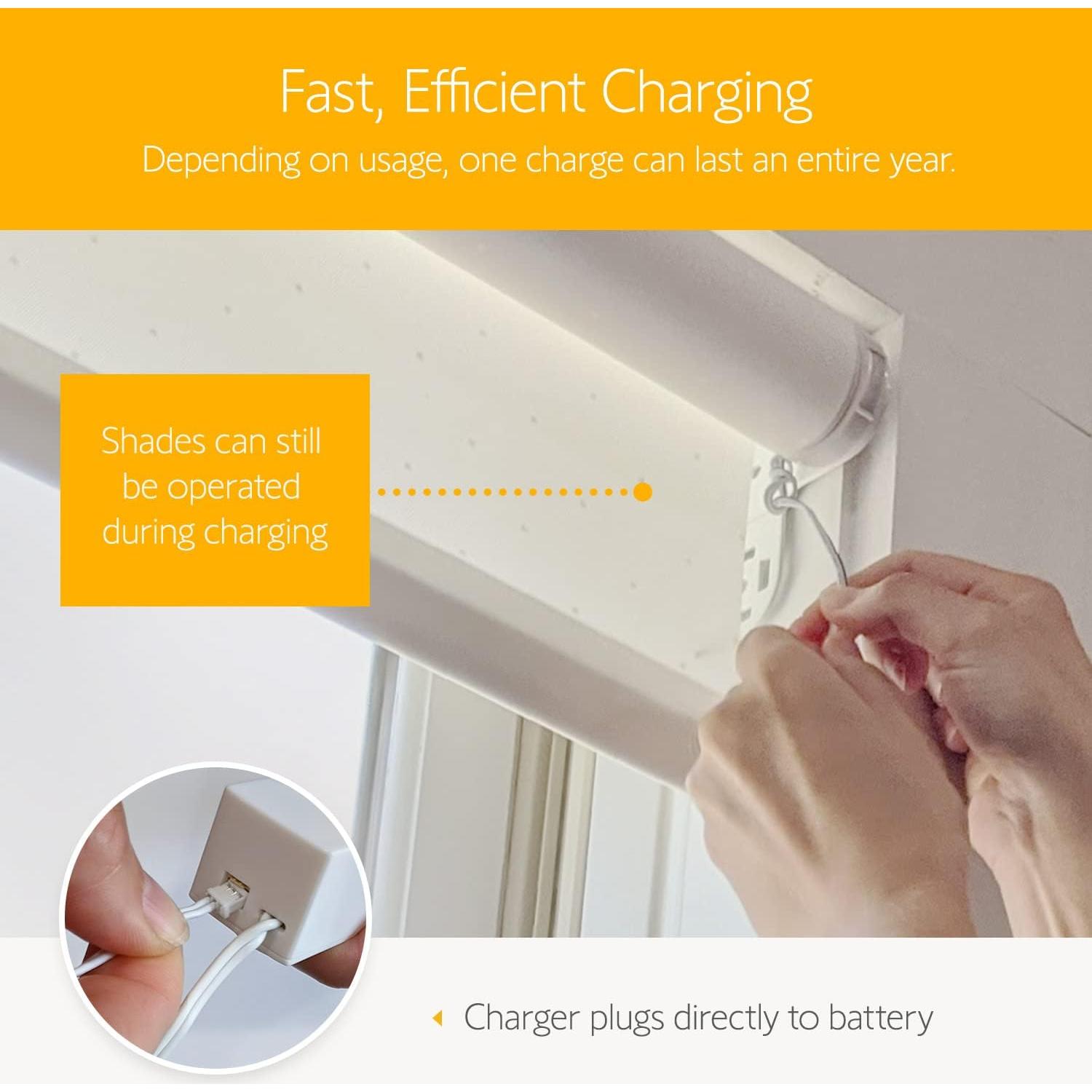 Batería Recargable de Litio 12V Somfy + Cargador - Fácil Instalación