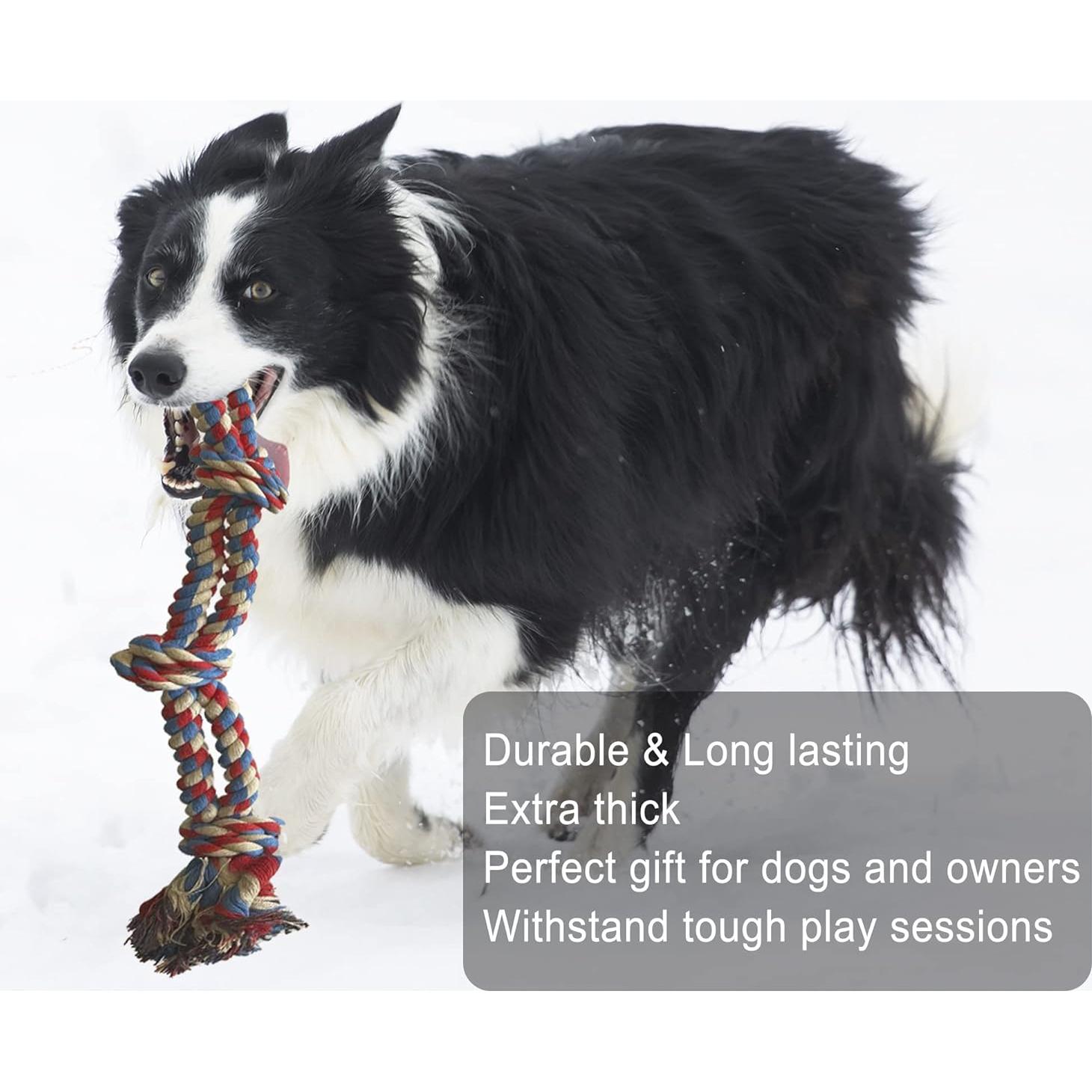 Juguete de Cuerda para Perros Jalousie 14 Piezas Multicolor