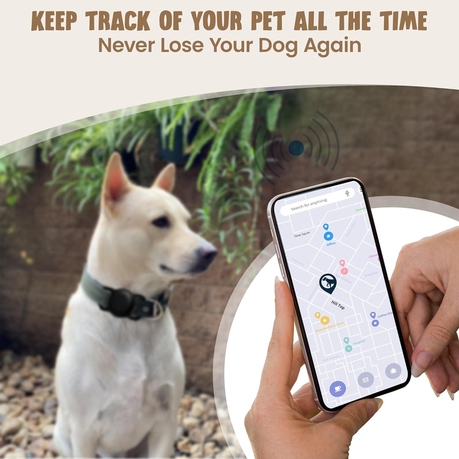 Soporte para Collar de Perro AirTag Turtle Den - 2 Paquete Negro