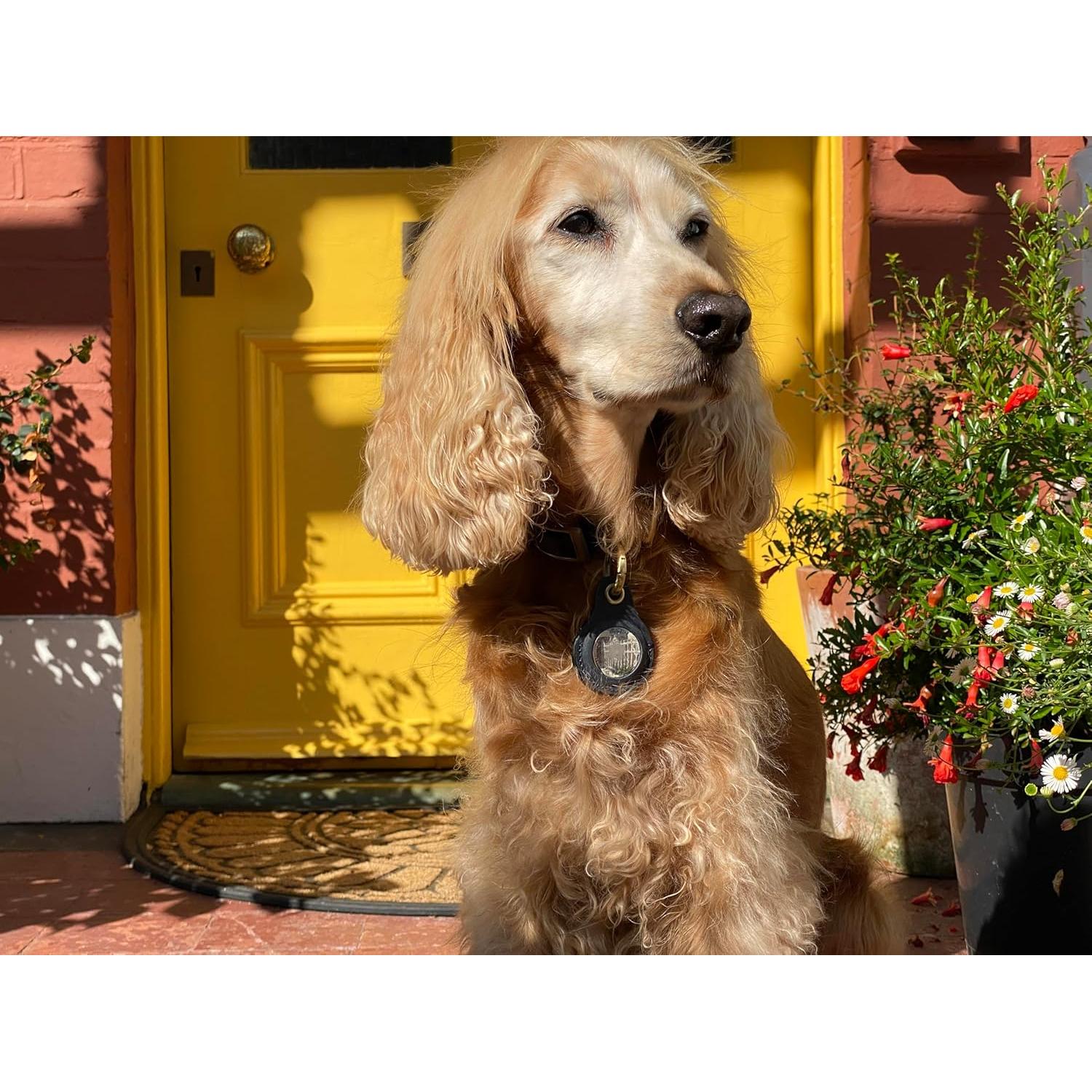 Funda de Cuero Genuino para Airtag Apple - Negro, Resistente al Agua