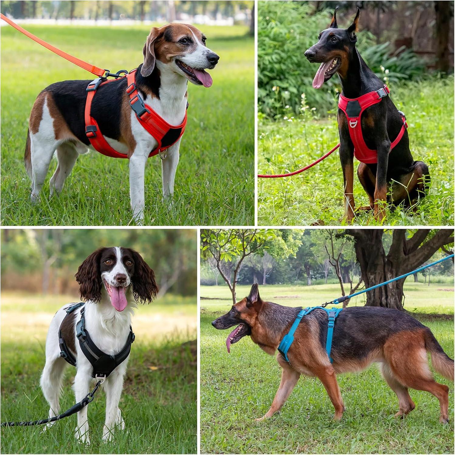 Arnés para Perros Plutus Pet XS Negro, Ajustable y Reflectante