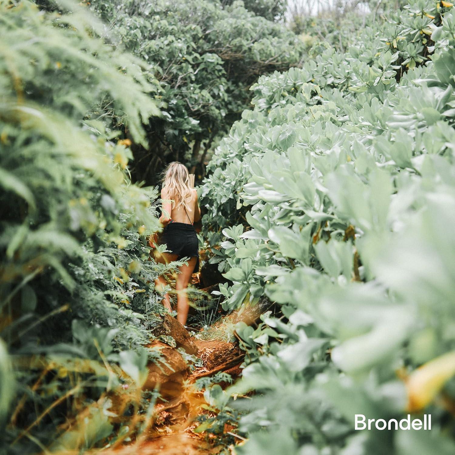 Bidet Brondell SimpleSpa SS-150 No Eléctrico Blanco 0.51 cm