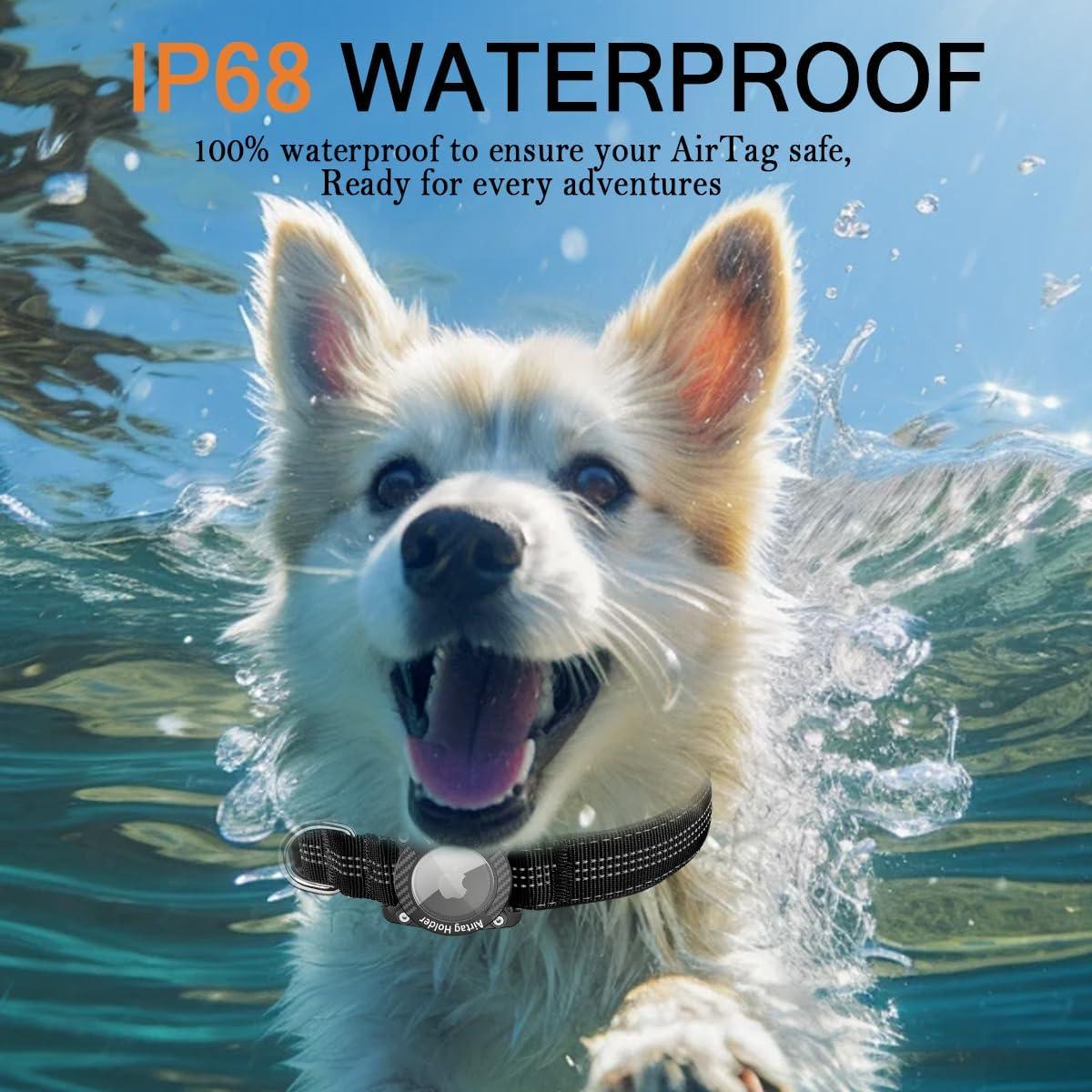 Collar para Perro AgoumLux AirTag Negro S Impermeable Reflectante