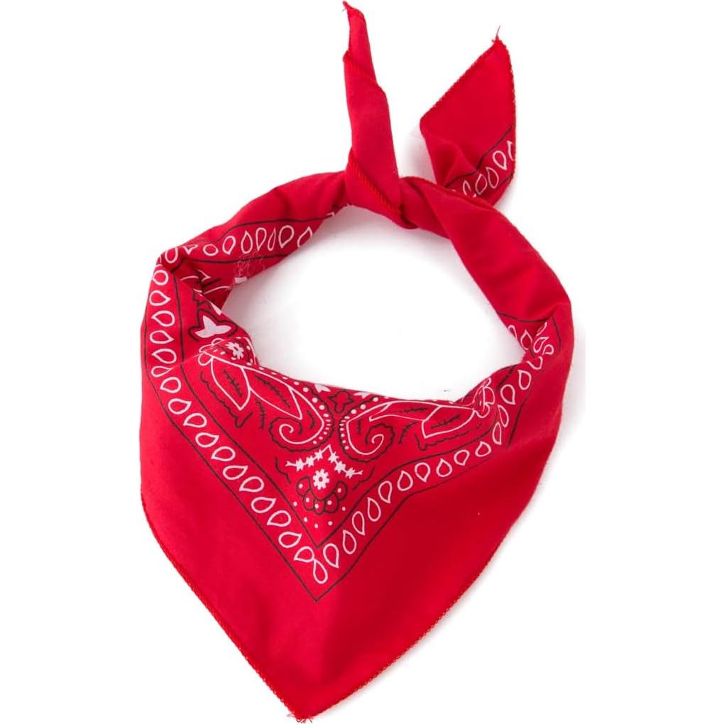 Disfraz de Vaquero Infantil LXKIKMM - Chaleco y Pañuelo