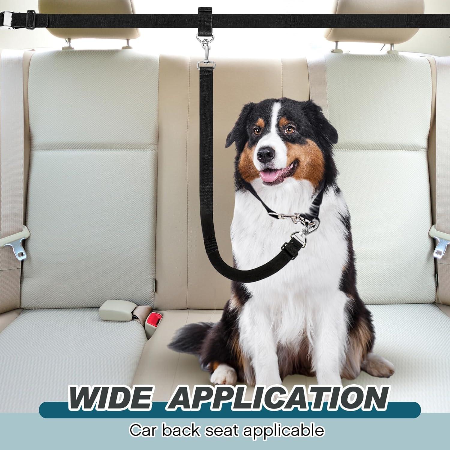 Correa de seguridad para perros en camioneta Clysee - Talla única