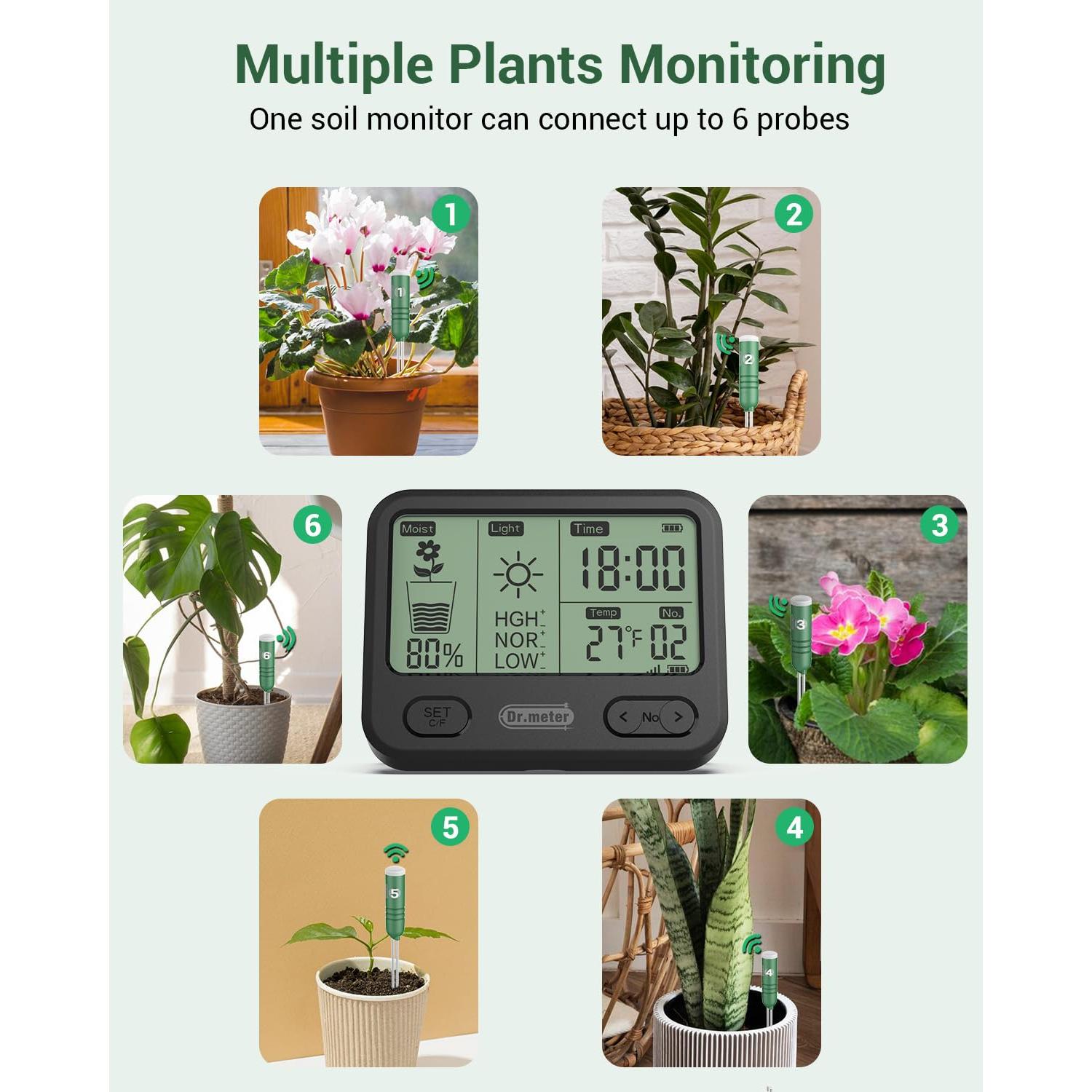 Medidor de Humedad del Suelo 4-en-1 Dr.meter HG01 LCD