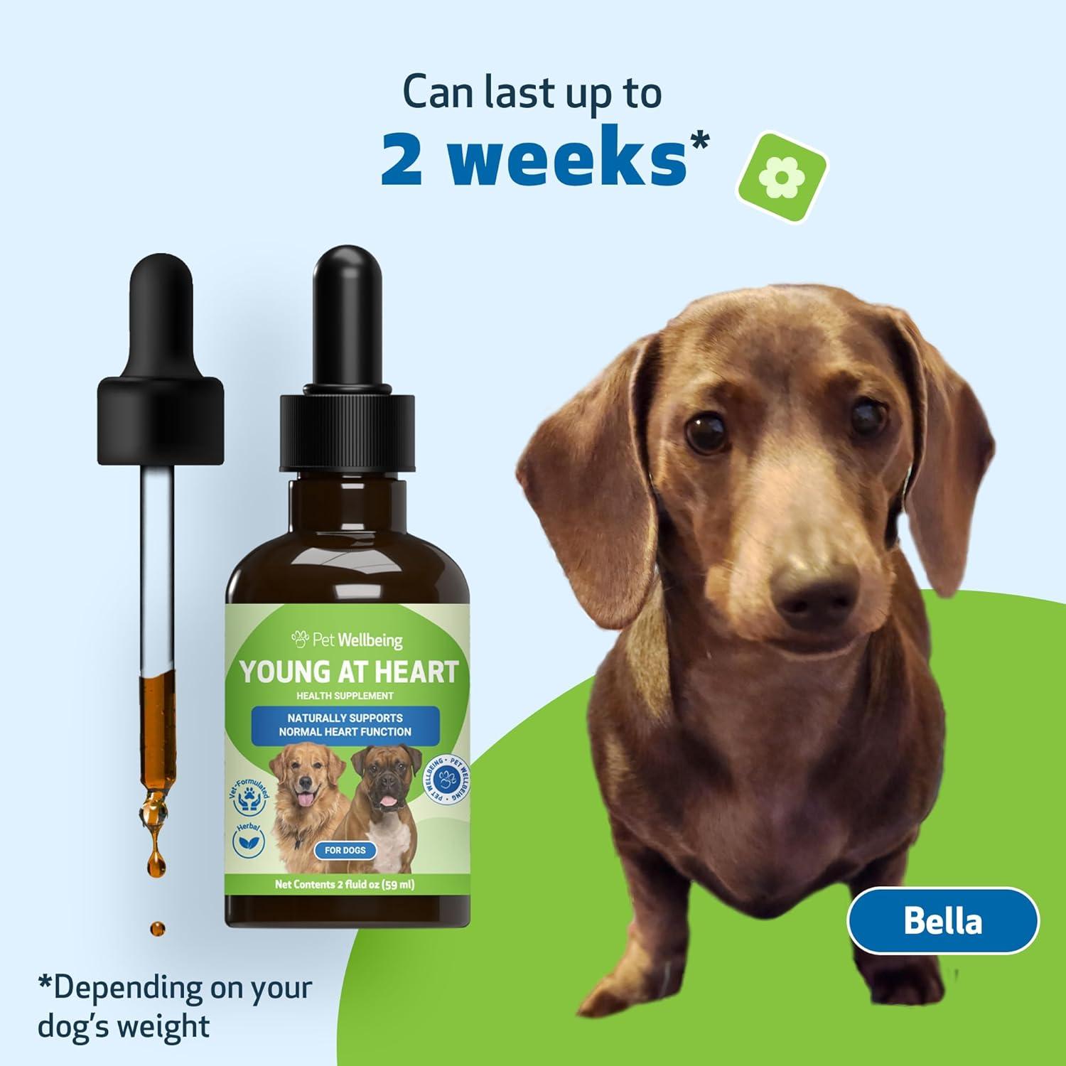 Suplemento Herbal Pet Wellbeing Joven de Corazón para Perros 59 ml