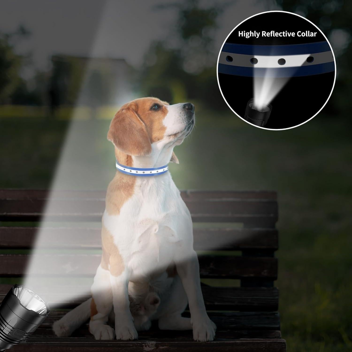 Correa de Reemplazo PaiPaitek para Collar de Choque 72 cm