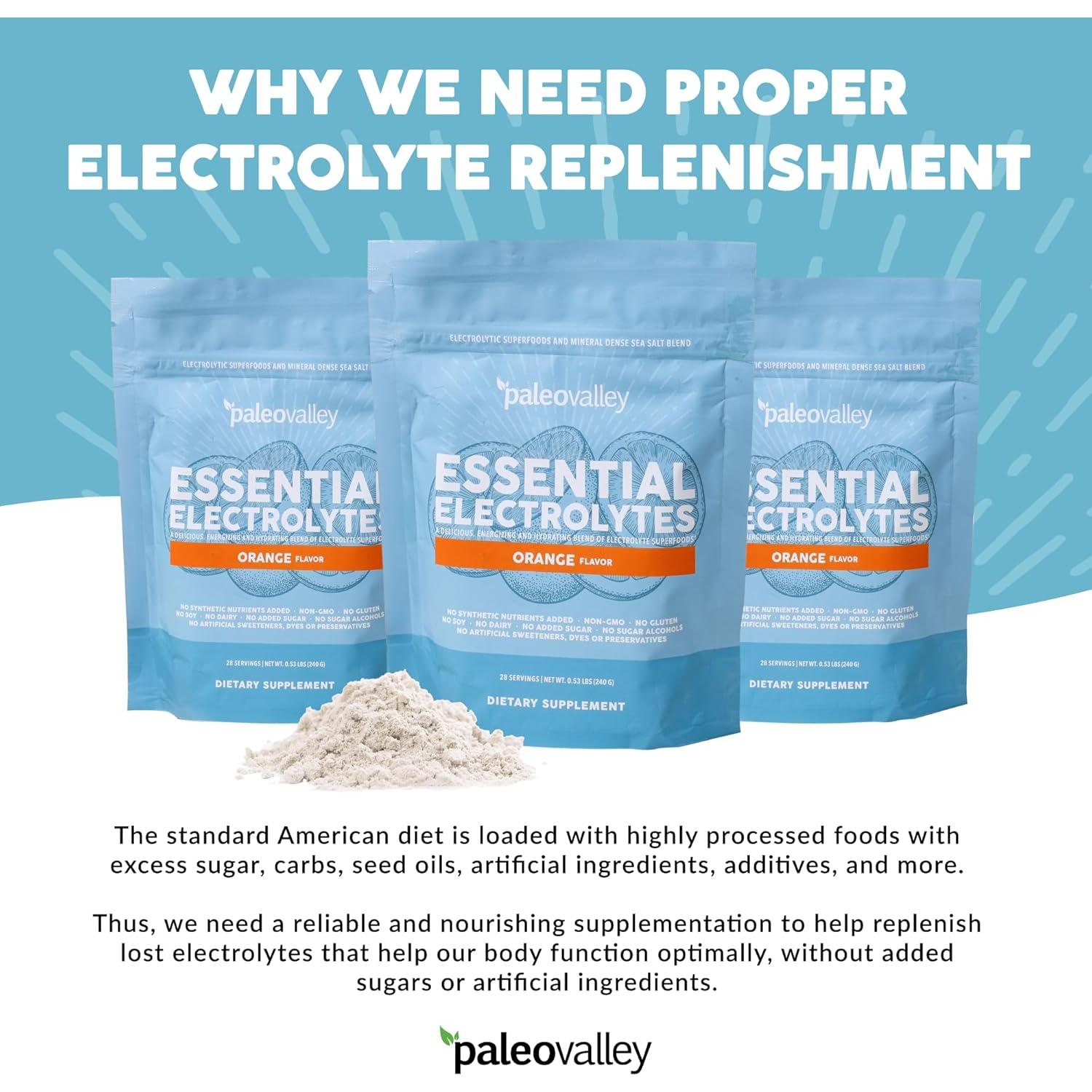 Paleovalley Electrolitos en Polvo Naranja - 28 Porciones