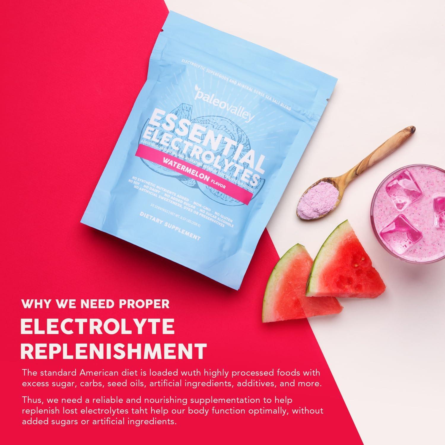 Paleovalley Electrolitos en Polvo Sandía - 30 Porciones