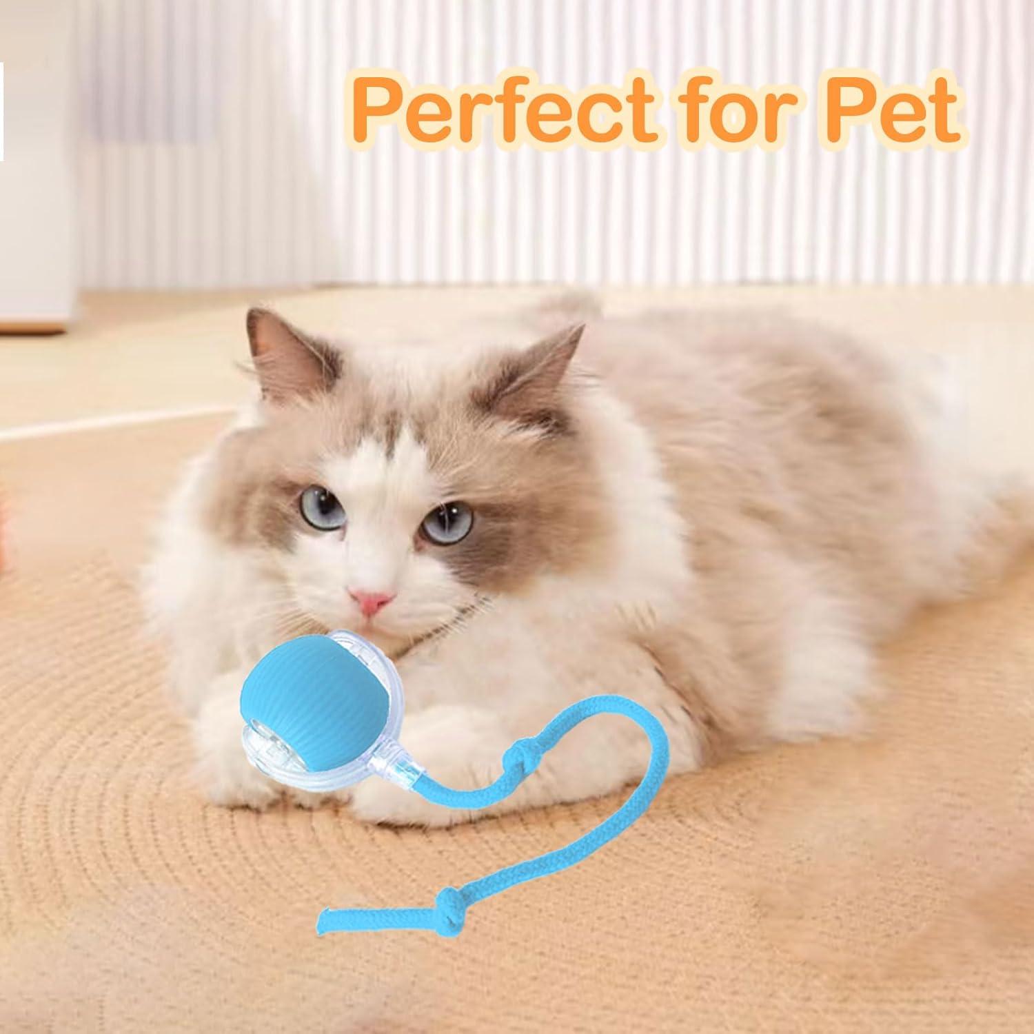 Bola Interactiva para Gatos Woleu 2025, 3 Modos, Azul