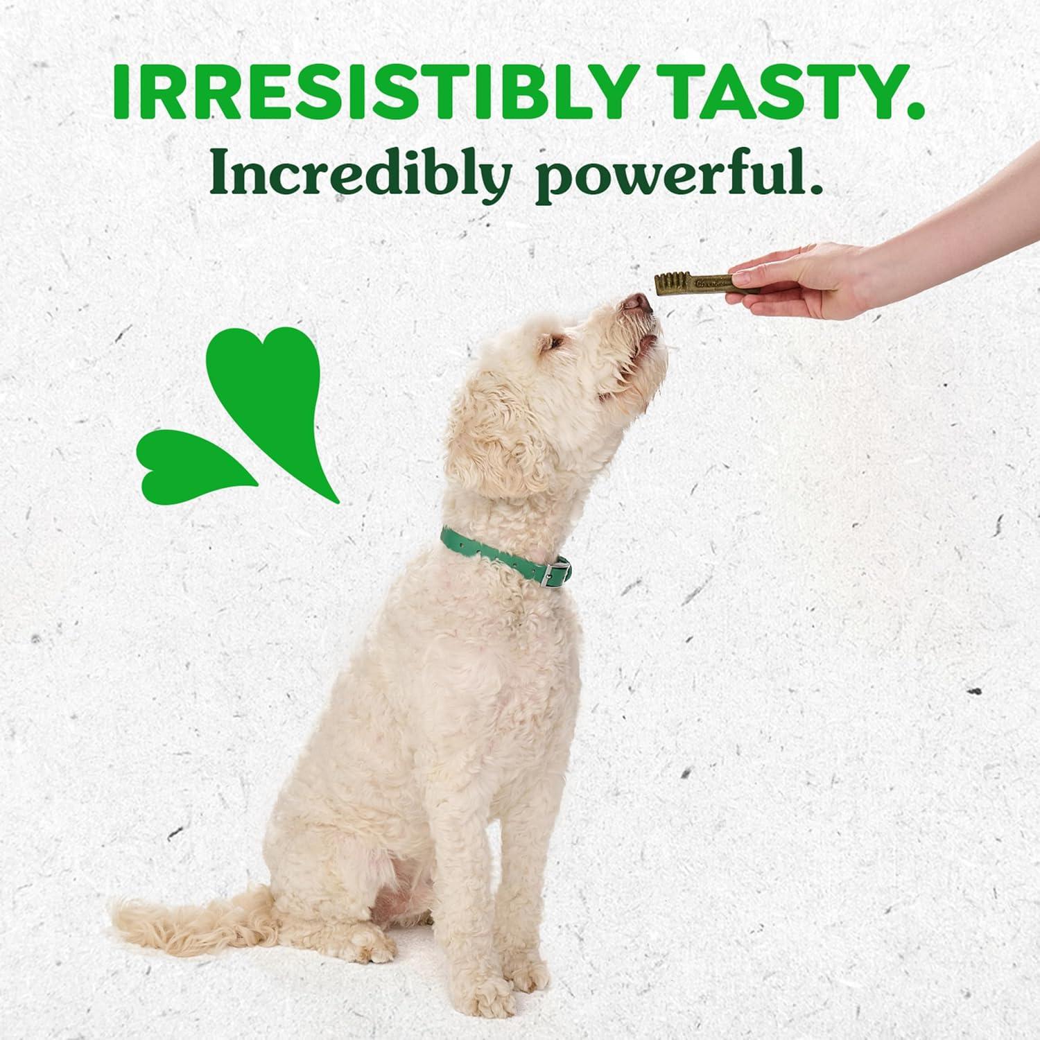 Golosinas Dentales para Perros Greenies Sabor Calabaza 340g