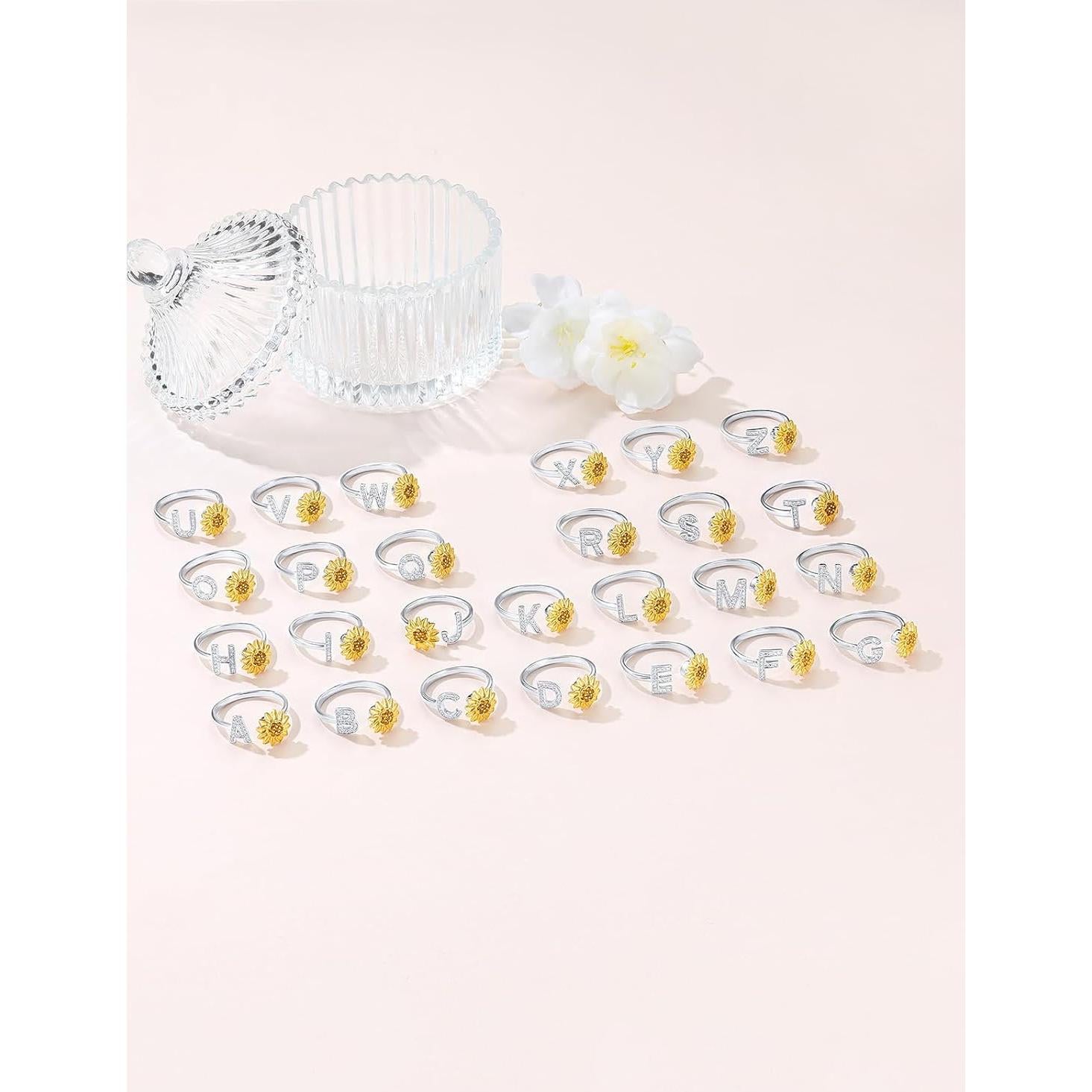 Anillo Fidget de Plata Esterlina 925 Focalook para Mujeres