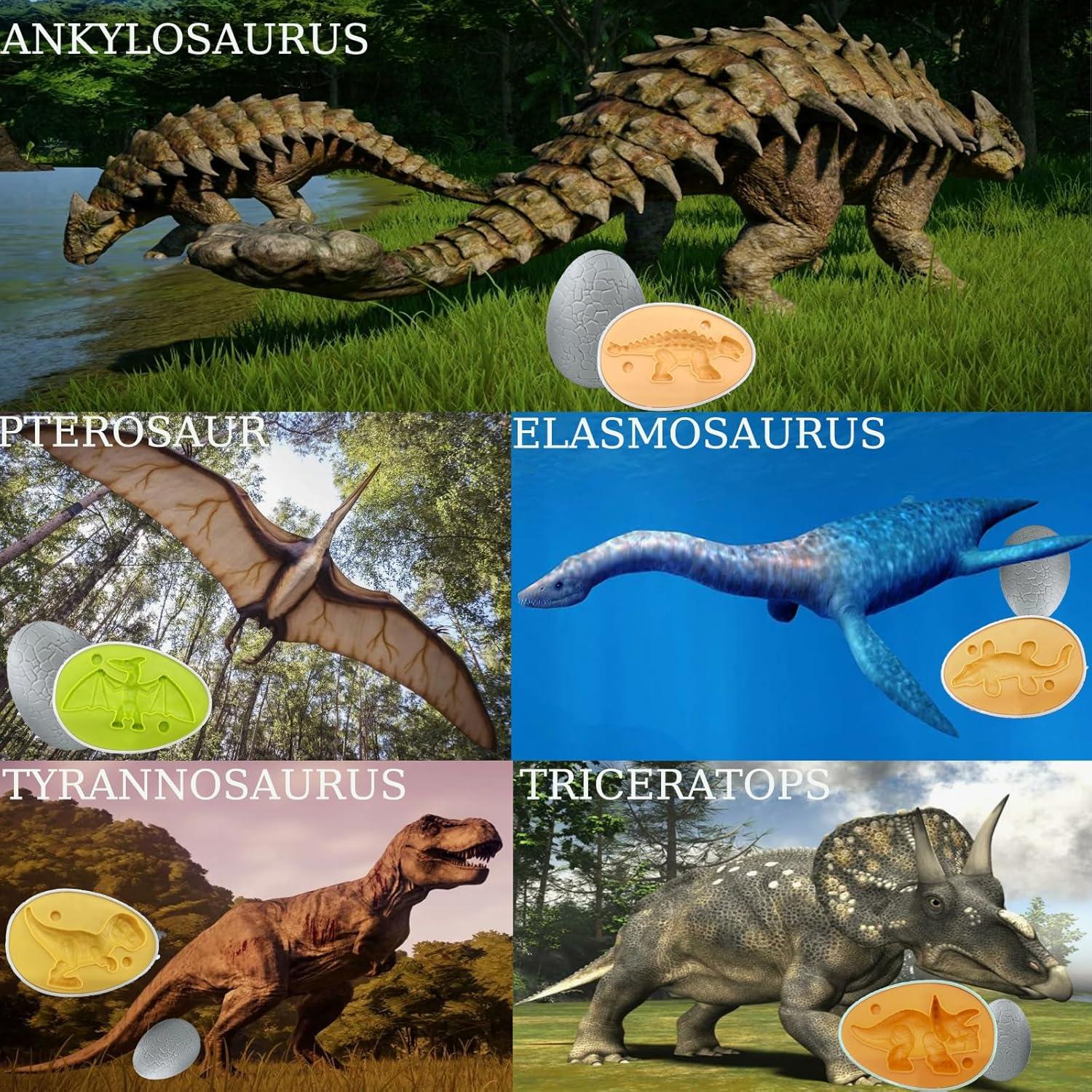 Conjunto de Huevos de Dinosaurio Playdough 5 Moldes 12 Paquetes