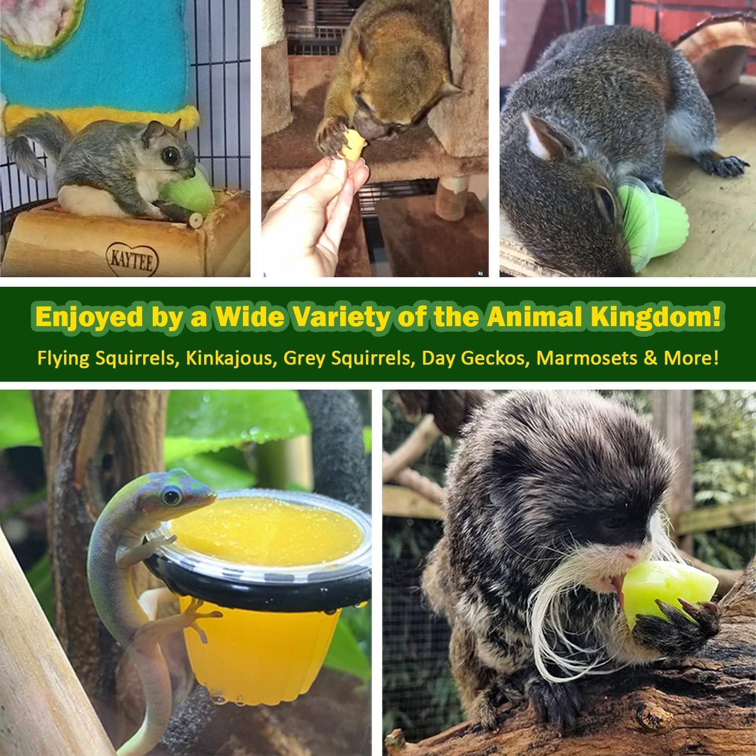 Nectar Pods Exotic Nutrition - Paquete de 4 Gelatinas Frutales