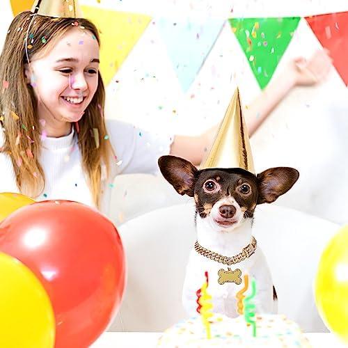 Collar de Cadena para Perros Hillban con Etiqueta Dorada 203x12mm