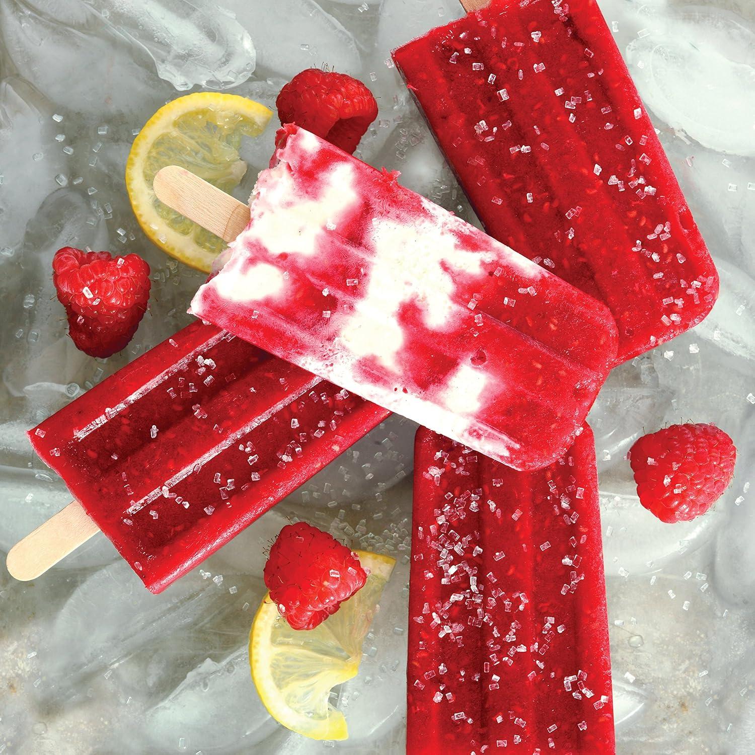 Molde para Paletas Heladas Norpro 423 con 24 Palitos de Madera