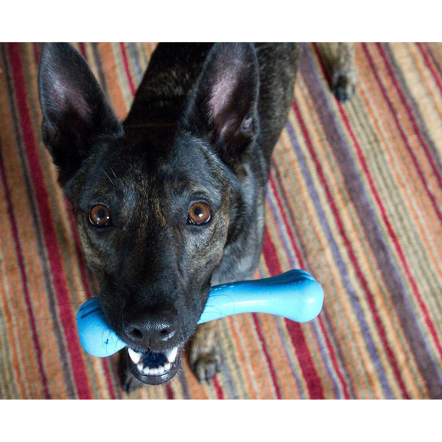 Hueso para Perros Jolly Pets Flex-N-Chew Mediano Azul