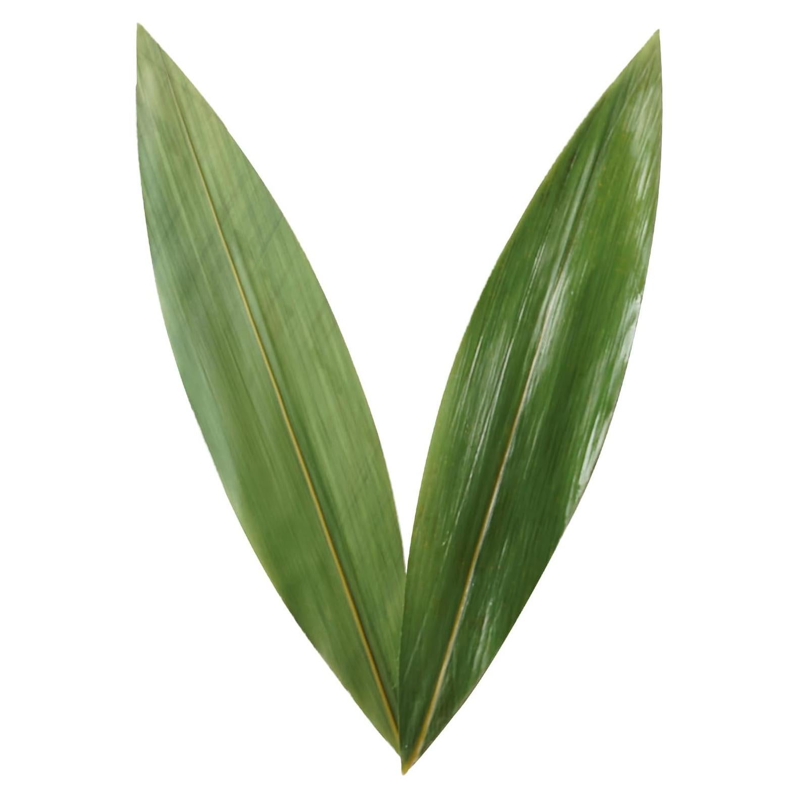 Hojas de Bambú Rainlily Wen 24.1cm 100 Pcs Decoración Sushi