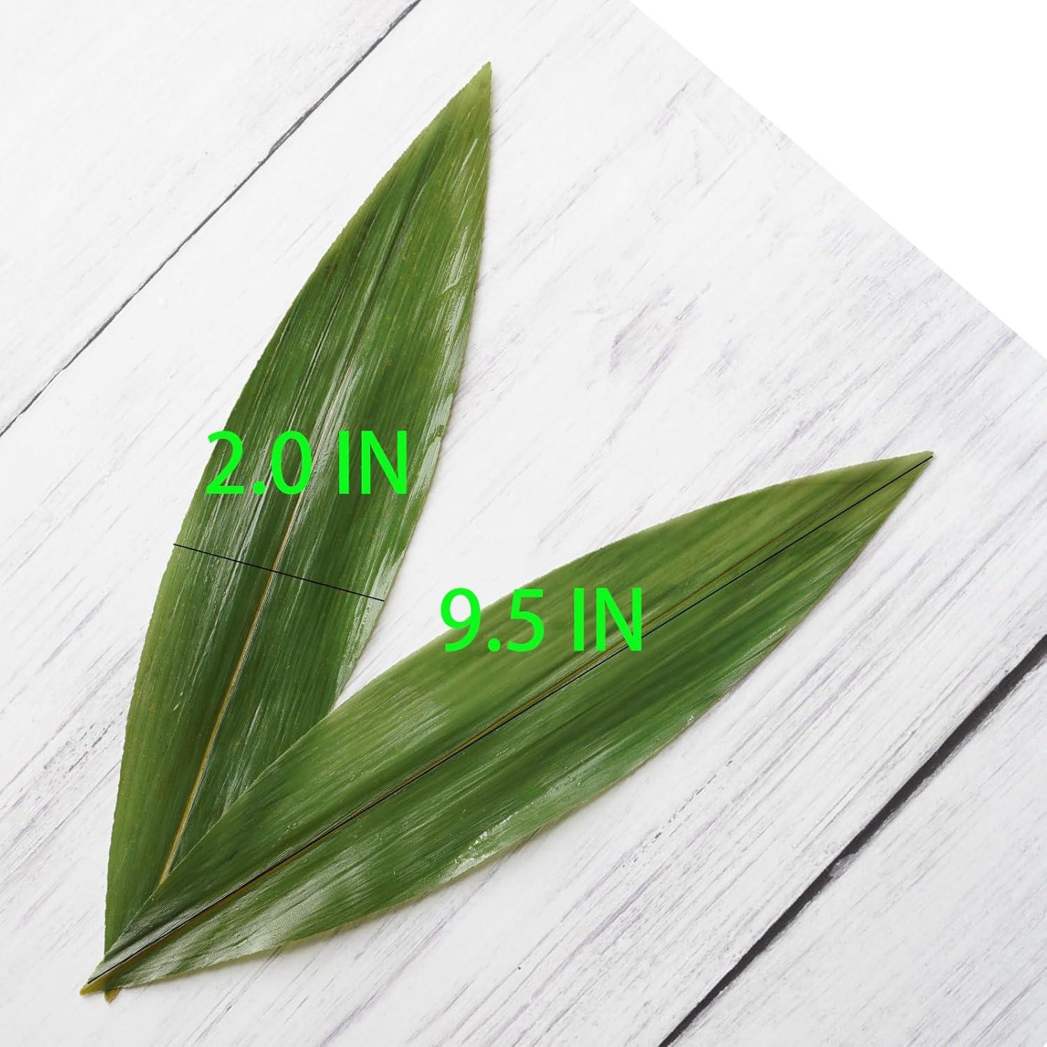 Hojas de Bambú Rainlily Wen 24.1cm 100 Pcs Decoración Sushi