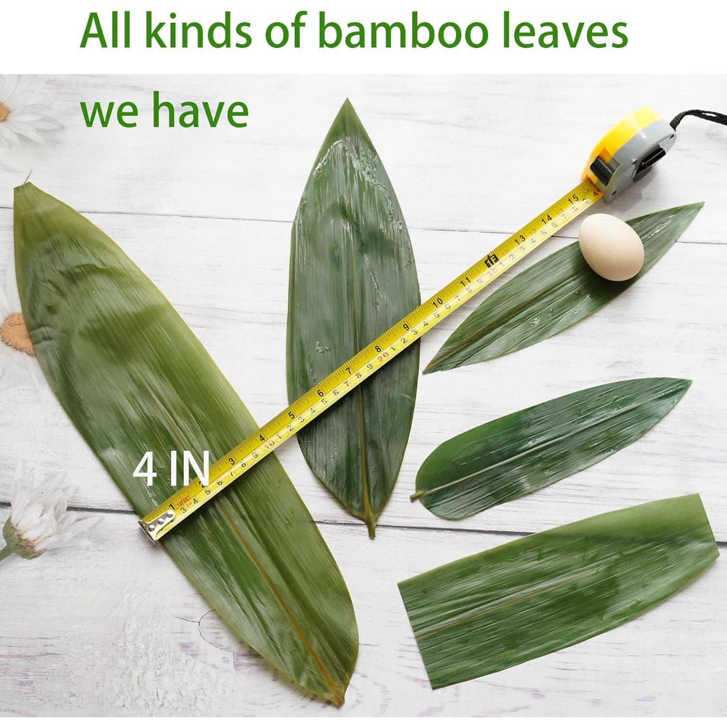 Hojas de Bambú Rainlily Wen 24.1cm 100 Pcs Decoración Sushi