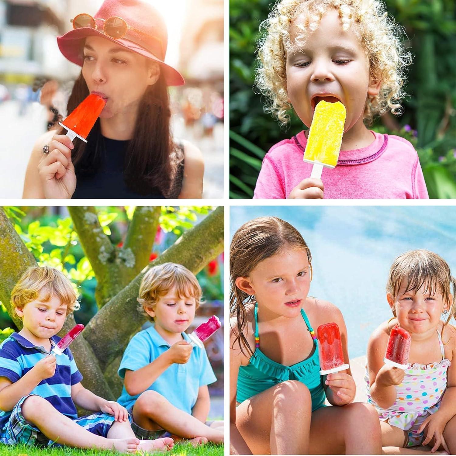 Moldes de Silicona para Paletas Lerryone 10 Piezas BPA Libre