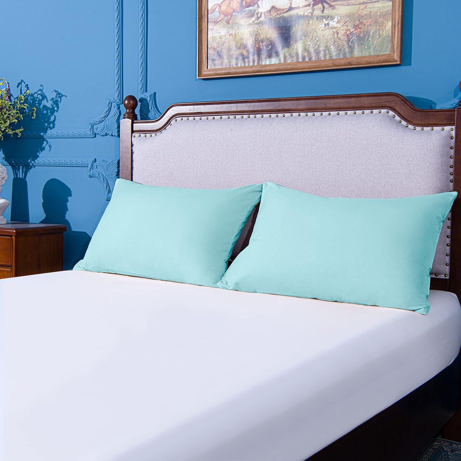 Juego de Fundas de Almohada NTBAY Microfibra Estándar Aqua 2 Piezas