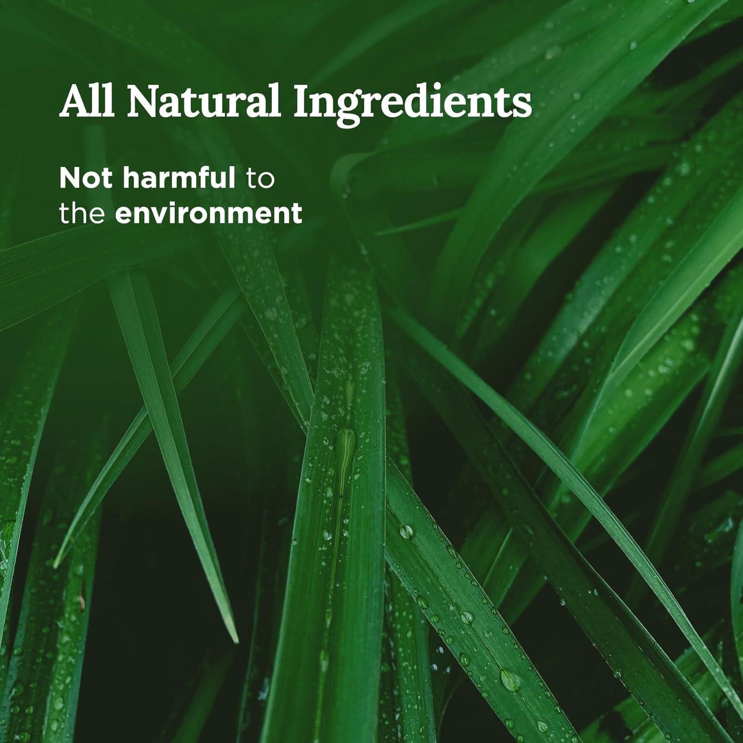 Vela de Aromaterapia Magnífico 101 170 g - 35 Horas de Quema