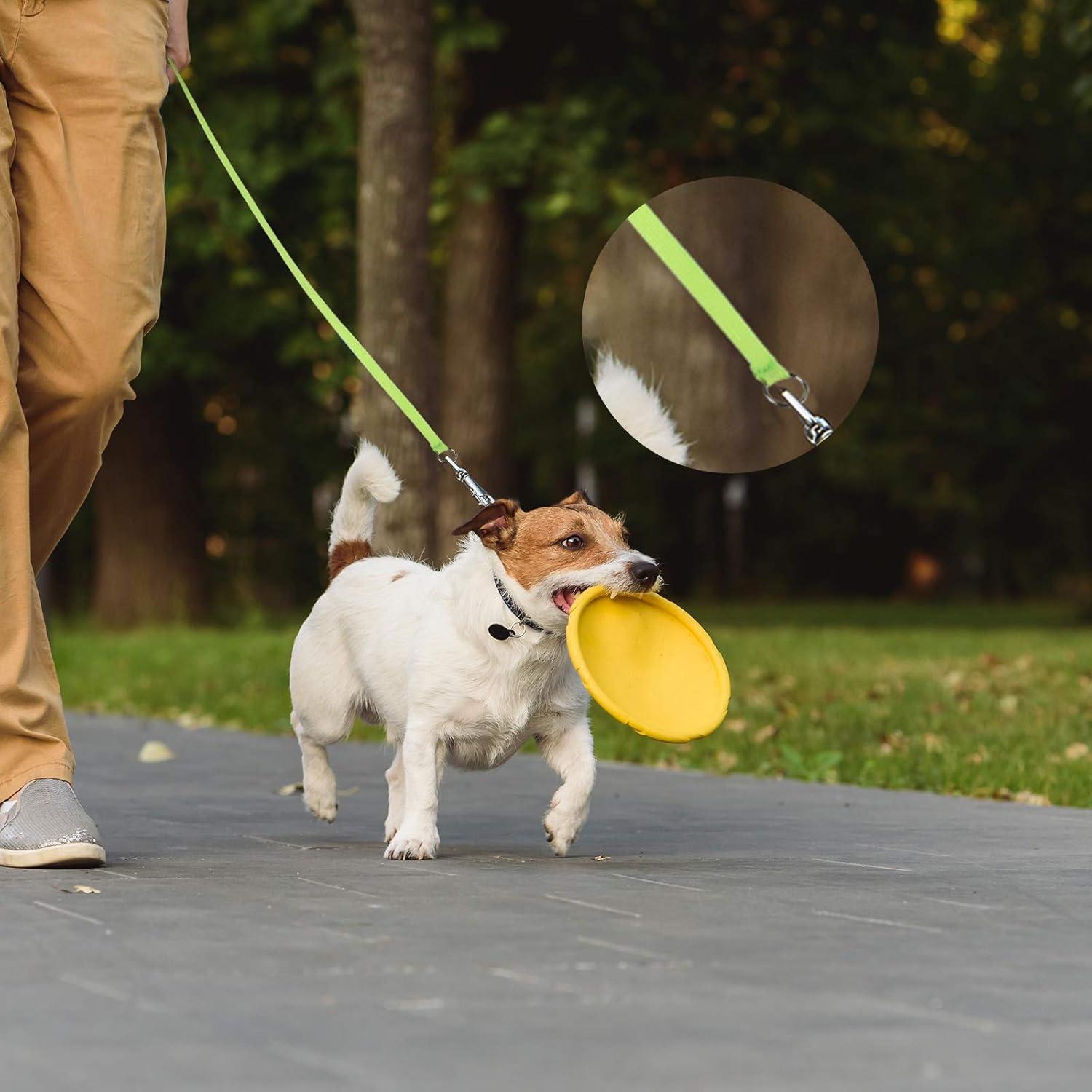 Correas Deslizantes para Perros Weewooday 18 Pcs 180 cm Colorido
