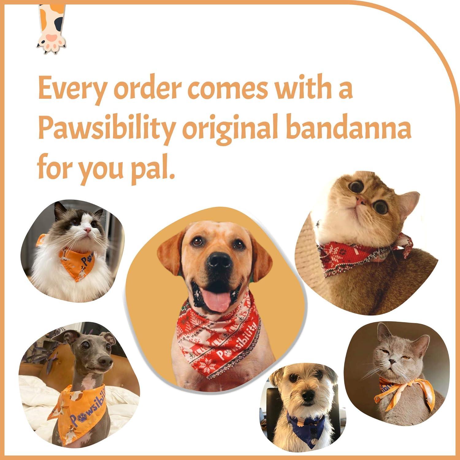 Cortauñas para Mascotas Pawsibility con Luz LED y Carga USB