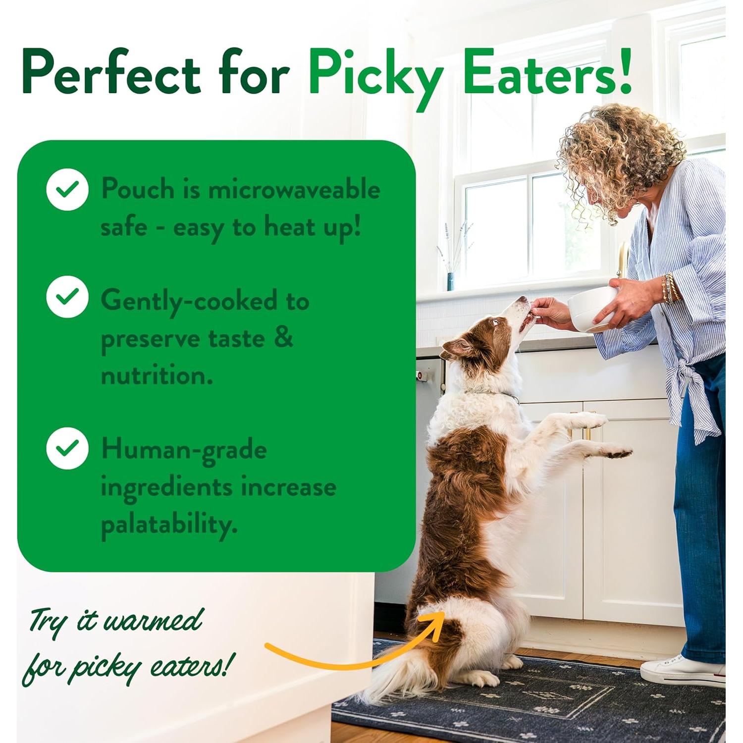 Comida Fresca para Perros Portland Pet Food 5 Paquetes 255g Pavo