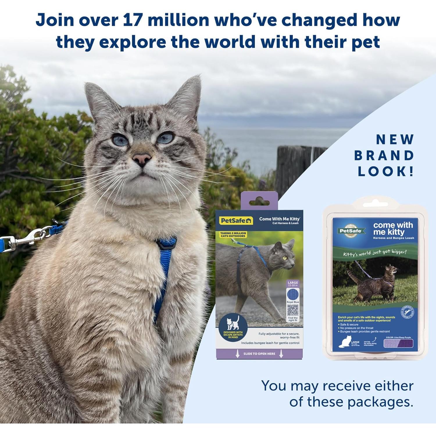 Arnés y Correa Elástica PetSafe Come With Me Kitty Pequeño Negro