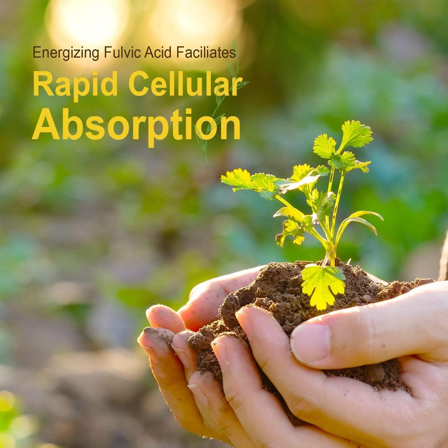 Suplemento Líquido Calcio-Magnesio Vital Earth 0.95 L