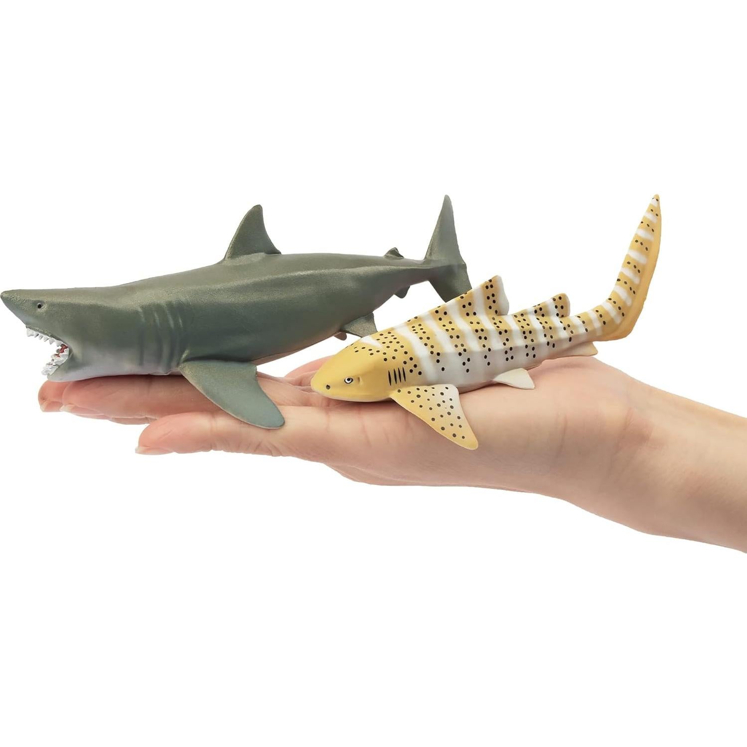 Conjunto de Figuras de Tiburones Toymany 6PC - Juguetes de Baño