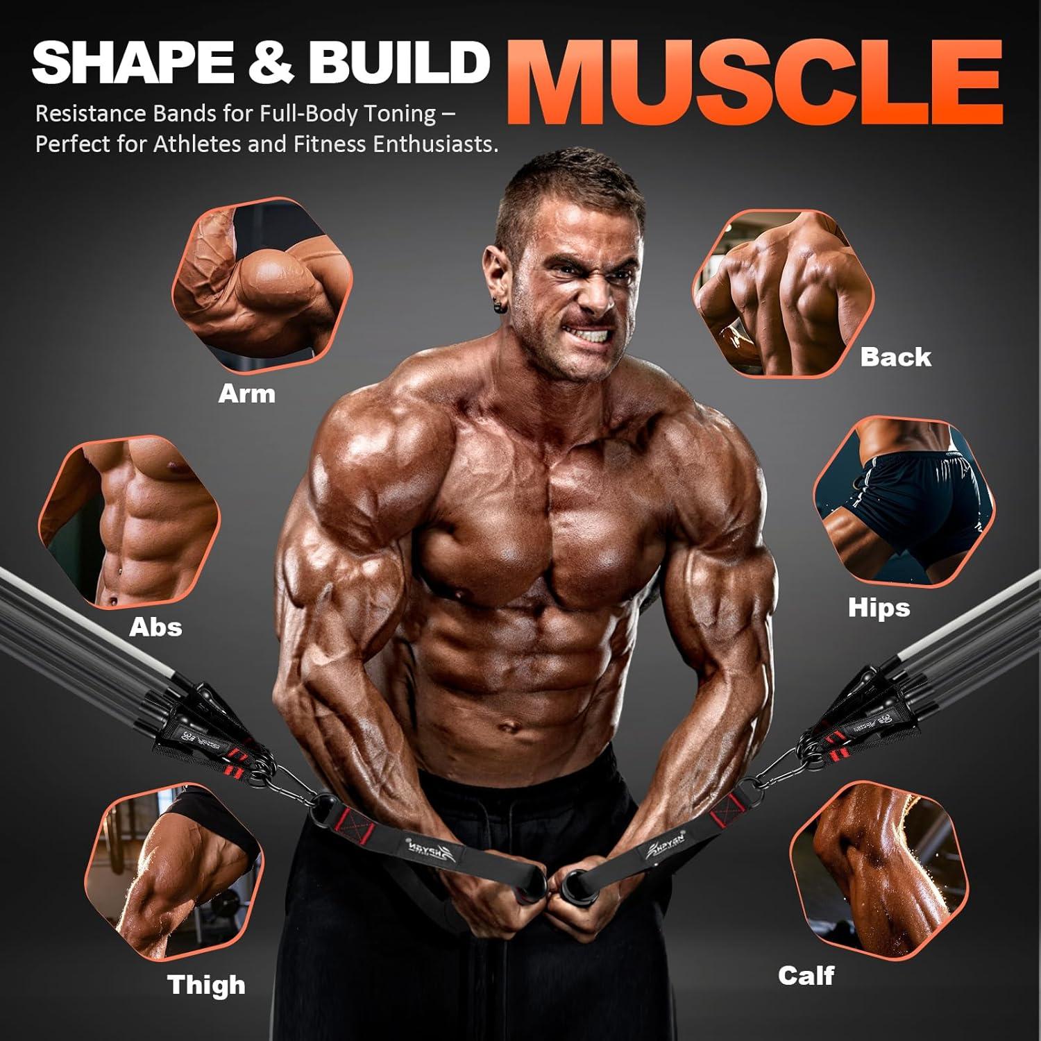 Bandas de Resistencia HPYGN 250LBS con Mangos y Anclaje