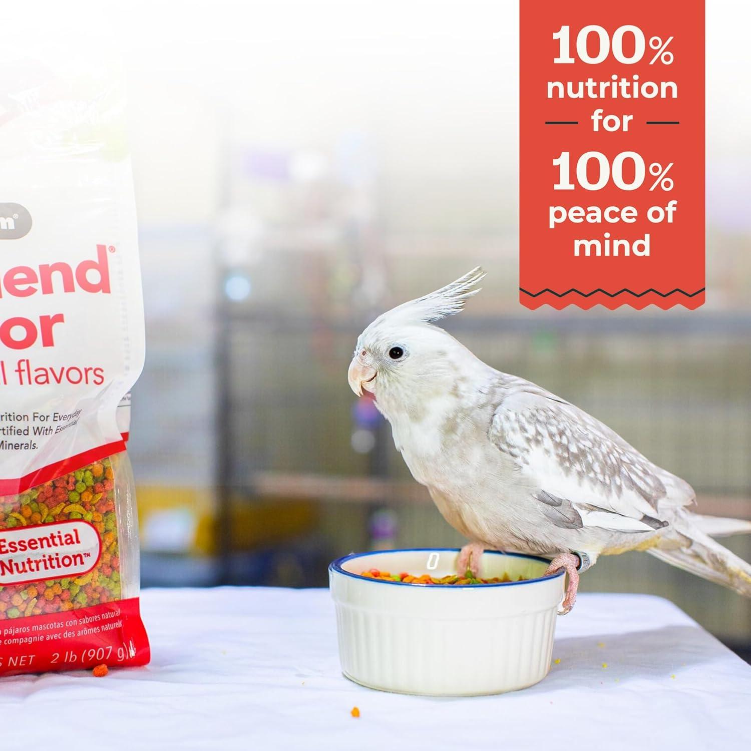 Alimento para Aves ZuPreem FruitBlend 0.91 kg - Pellets Frutales