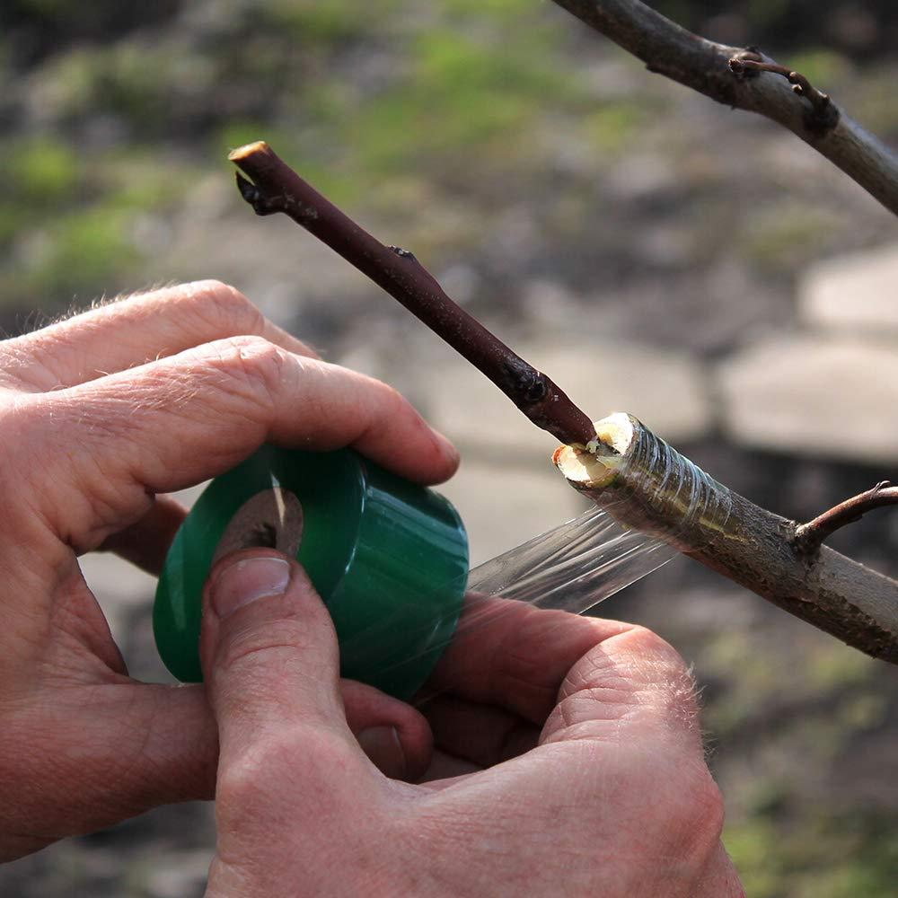 Cinta de Injerto Estirable HAINANSTRY 2 PCS 100m Verde Blanco